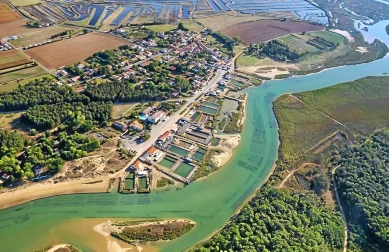 La Maisonnette Du Payre Talmont-Saint-Hilaire Екстер'єр фото